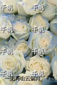 一见青山云端月：全文小说
