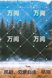 风起，爱意自由：完整文集阅读