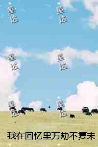 我在回忆里万劫不复全局
