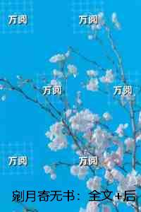 剜月寄无书：结局+番外小说