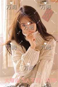 大雁南飞人不归：后续+番外