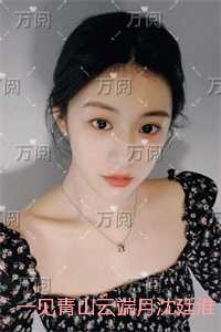 一见青山云端月沈廷淮：长篇小说