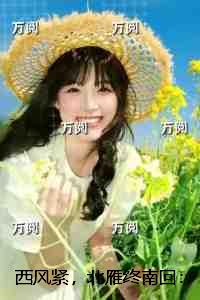 西风紧，北雁终南回：结局+番外笔趣阁