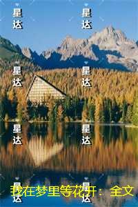我在梦里等花开：精修版