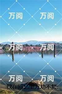 我在回忆里万劫不复已完结
