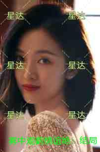 雾中观鹤情谊绝：无弹窗阅读