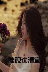 陆砚沈清宜