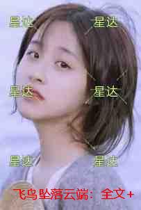 飞鸟坠落云端：结局+番外完结