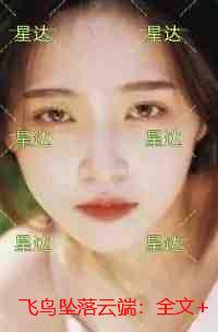 飞鸟坠落云端：后续+番外