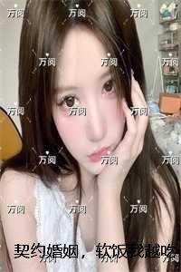 契约婚姻，软饭我越吃越香：无删减全文