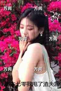 重生七零我甩了渣夫营长：全文无弹窗