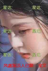 风露渐凉人已散：精品选集