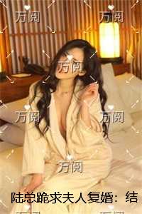 陆总跪求夫人复婚：全文免费阅读