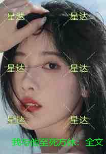 我与他至死方休：精品选集