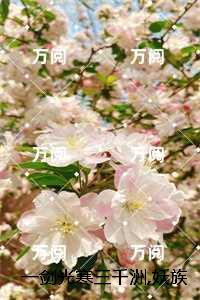 一剑光寒三千洲,妖族敢与我一战?：+番外