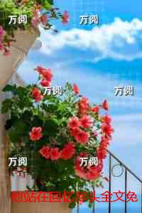 他站在回忆尽头：后续章节在线阅读