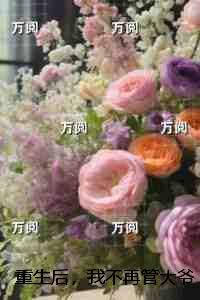 重生后，我不再管大爷拎电瓶进电梯：全本小说推荐