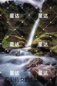 看见侍女的假弹幕后我杀疯了：结局+番外新书