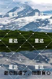 谢总别虐了，她眼盲心不盲,简柠