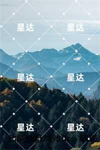此情脉脉终难诉：结局+番外