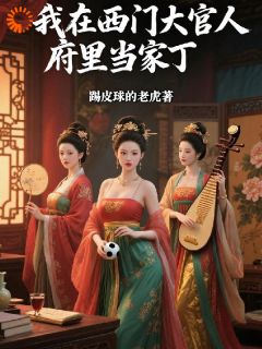 我在西门大官人府里当家丁