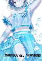 当时寒月在，曾照疏桐归