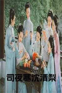 司夜寒沈清梨后续