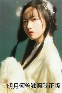 明月何曾独照我正版