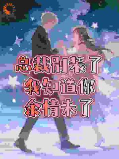 总裁别装了,我知道你余情未了