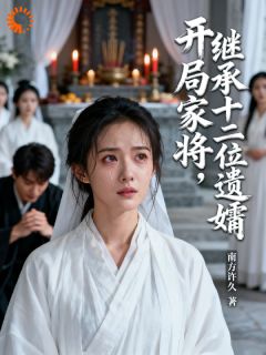 开局家将,继承十二位遗孀