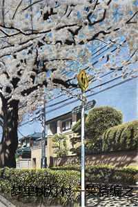 梦里挑灯付一笑精编之作