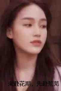 未赴花期，先赴荒芜