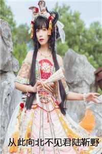 从此向北不见君陆靳野温晴正版
