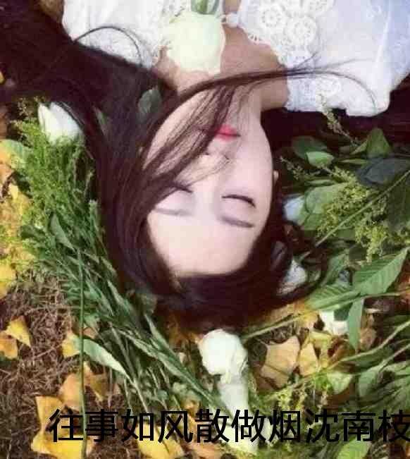 往事如风散做烟沈南枝顾寒声续集