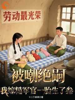 被嘲绝嗣？我嫁糙军官一胎生了叁人物讨喜