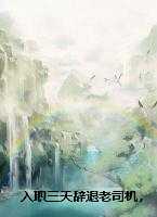 入职三天辞退老司机,销售总监咆哮,我淡定甩出证据