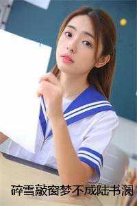 碎雪敲窗梦不成陆书澜周司屿