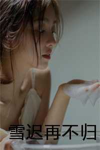 雪迟再不归