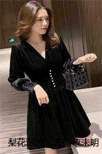 梨花落尽,云散夜未明