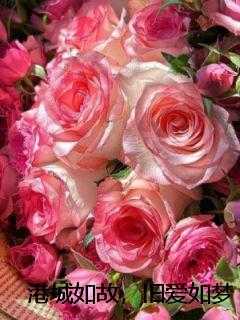 港城如故,旧爱如梦