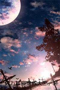 亿万富豪穿成大憨，开局被喊去放哨