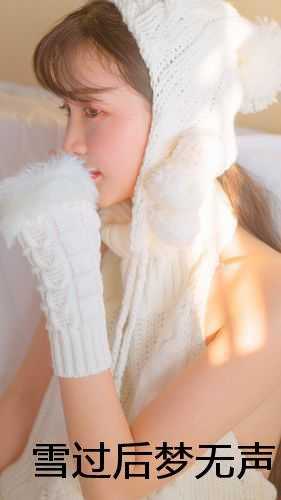 雪过后梦无声