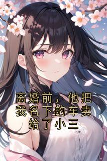 离婚前，他把我名下的车卖给了小三