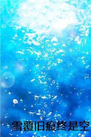 雪覆旧痕终是空