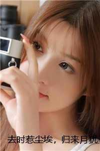 去时惹尘埃，归来月犹在爽文