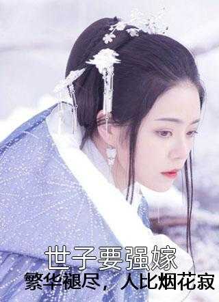 繁华褪尽，人比烟花寂寞续集