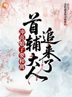 冲喜娘子要和离,首辅大人追来了