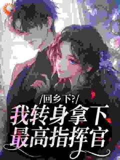 回乡下?我转身拿下最高指挥官