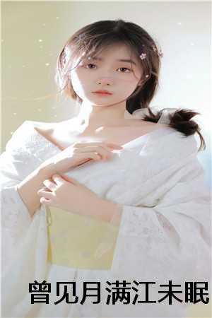 曾见月满江未眠