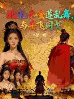 北宋和金莲乱舞，与岳飞同戈